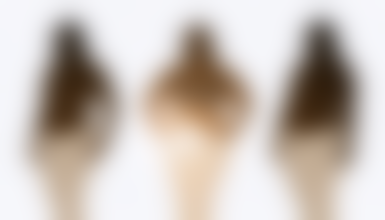 découvrez tout sur le corps en forme de w : définition, exemples concrets et liste détaillée pour mieux comprendre cette morphologie unique.